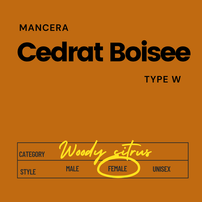 Mancera Cedrat Boisee Type W