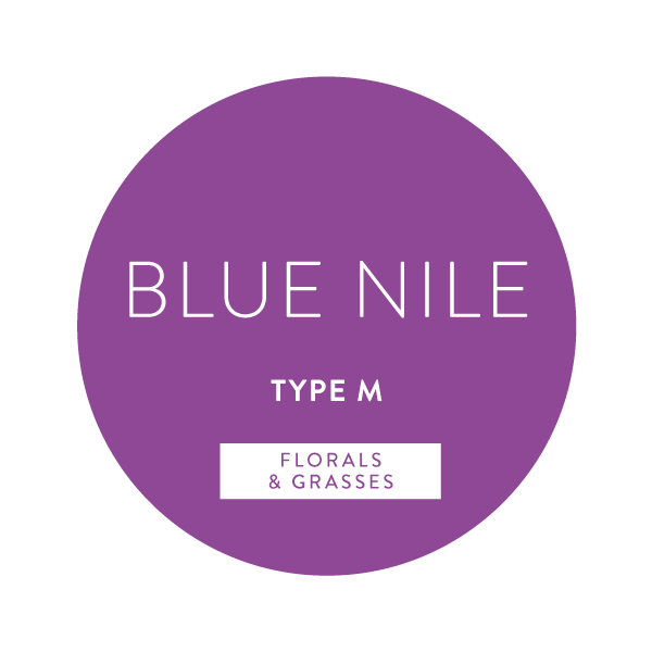 Yves Saint Laurant L'Homme Intense Type M