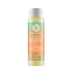 African Gold Massage Body Oil with Apricot
