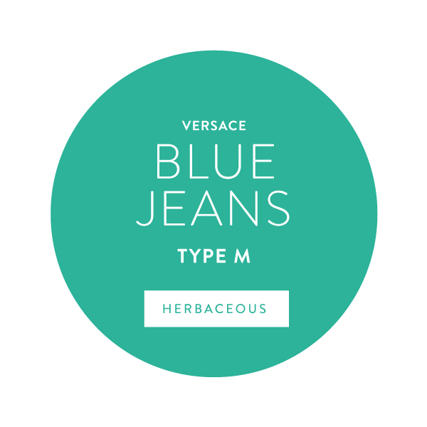 Versace Blue Jeans Type M