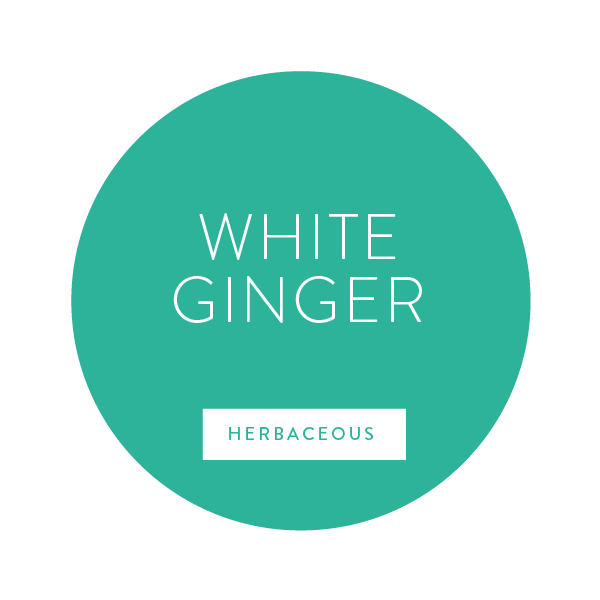 White Ginger