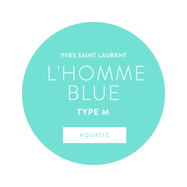 Yves Saint Laurent L'Homme  Type M